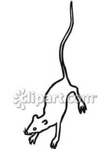 225x300 Clipart Of A Rat Outline In Black