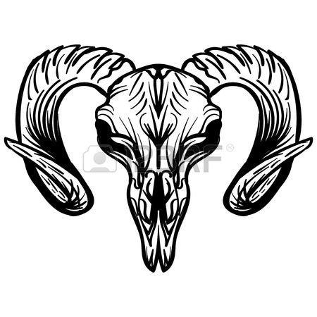 450x450 Goat Skull Hand Drawn, Isolated On White. Drawing Sketch