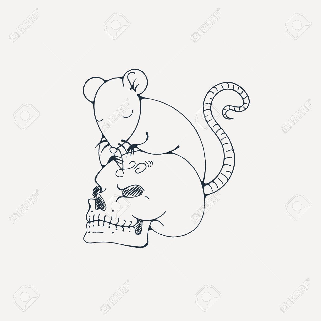 1300x1300 Illustration With Rat Engraves Human Skull. Coloring Page. Vector