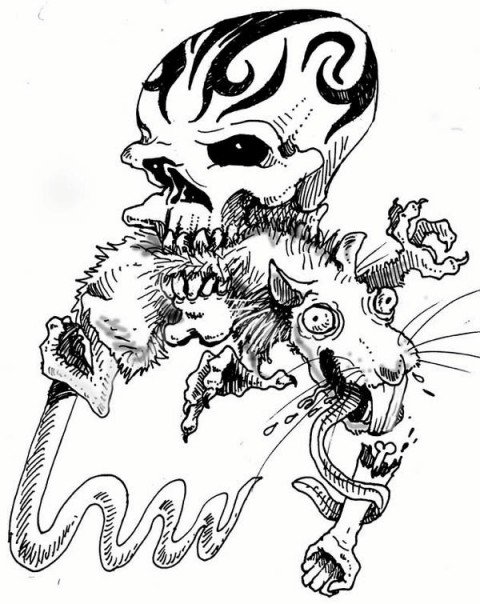 480x604 Illustration Amp Drawing Blonde Iguana Art