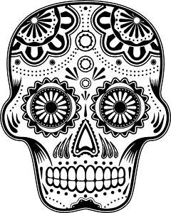 240x300 Online Design Skull Camper Beetle Rat To Fit Vw Sticker Decal Car