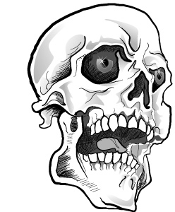 248x300 Skull Vector Image If You Want To Use This Image Free