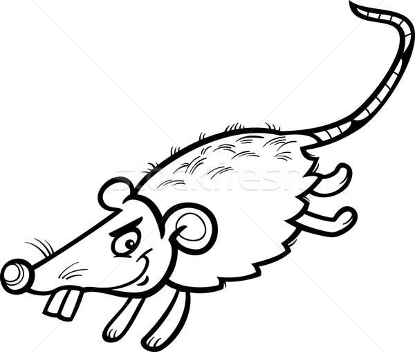 600x509 Mouse Or Rat Cartoon Coloring Page Vector Illustration Igor
