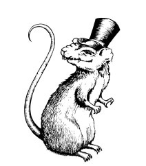 212x242 Featured Products