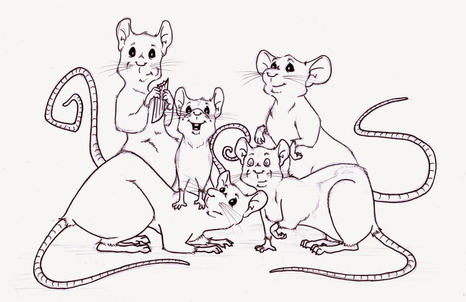 1600x1038 Sara Dunkerton Illustration And Animation Pet Portraits