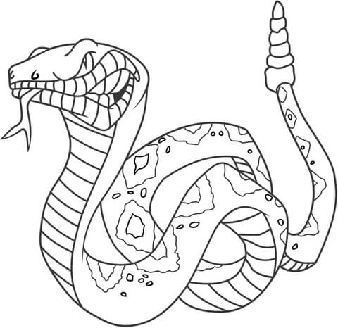 480x466 Angry Rattlesnake Coloring Page Free Printable Coloring Pages