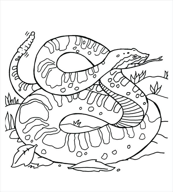 Rattle Snake Drawing at GetDrawings.com | Free for personal use Rattle