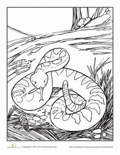236x304 Rattlesnake Coloring Pages