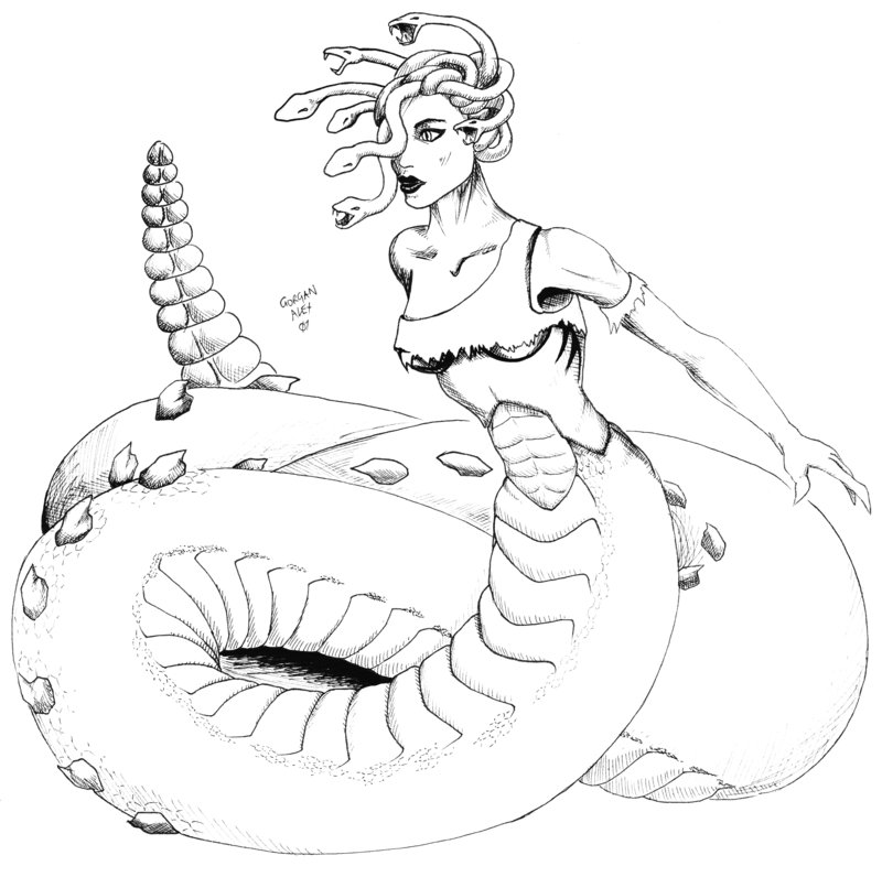 800x796 Drawings Of Rattlesnakes Rattlesnake Gorgan By ~ Wynnter89