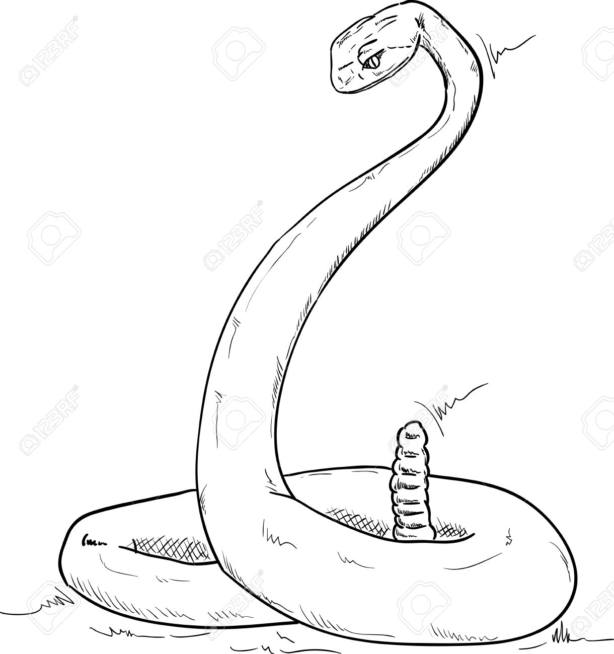 1220x1300 Rattlesnake Alert , Isolated On Background Royalty Free Cliparts