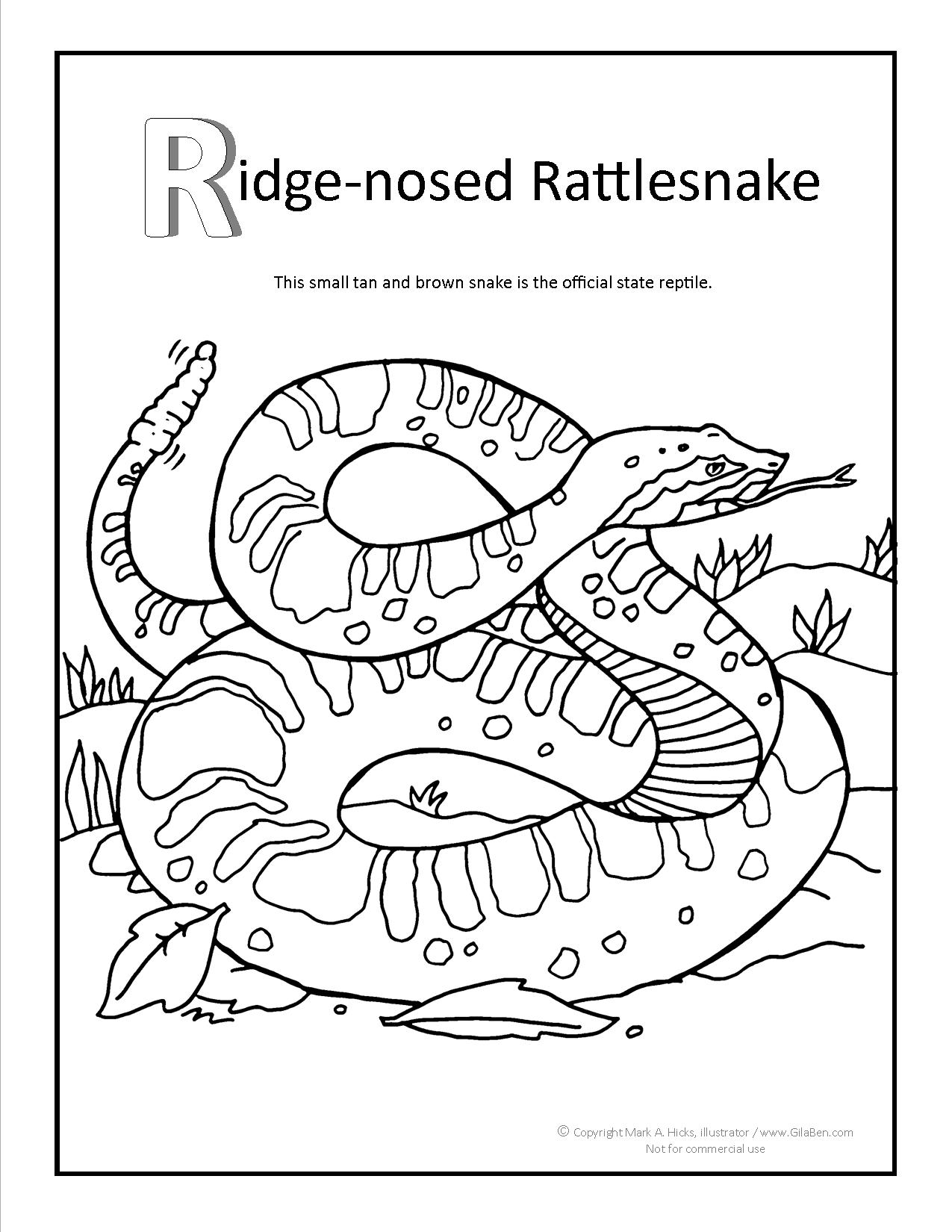 1275x1650 Ridge Nosed Rattlesnake Coloring Page