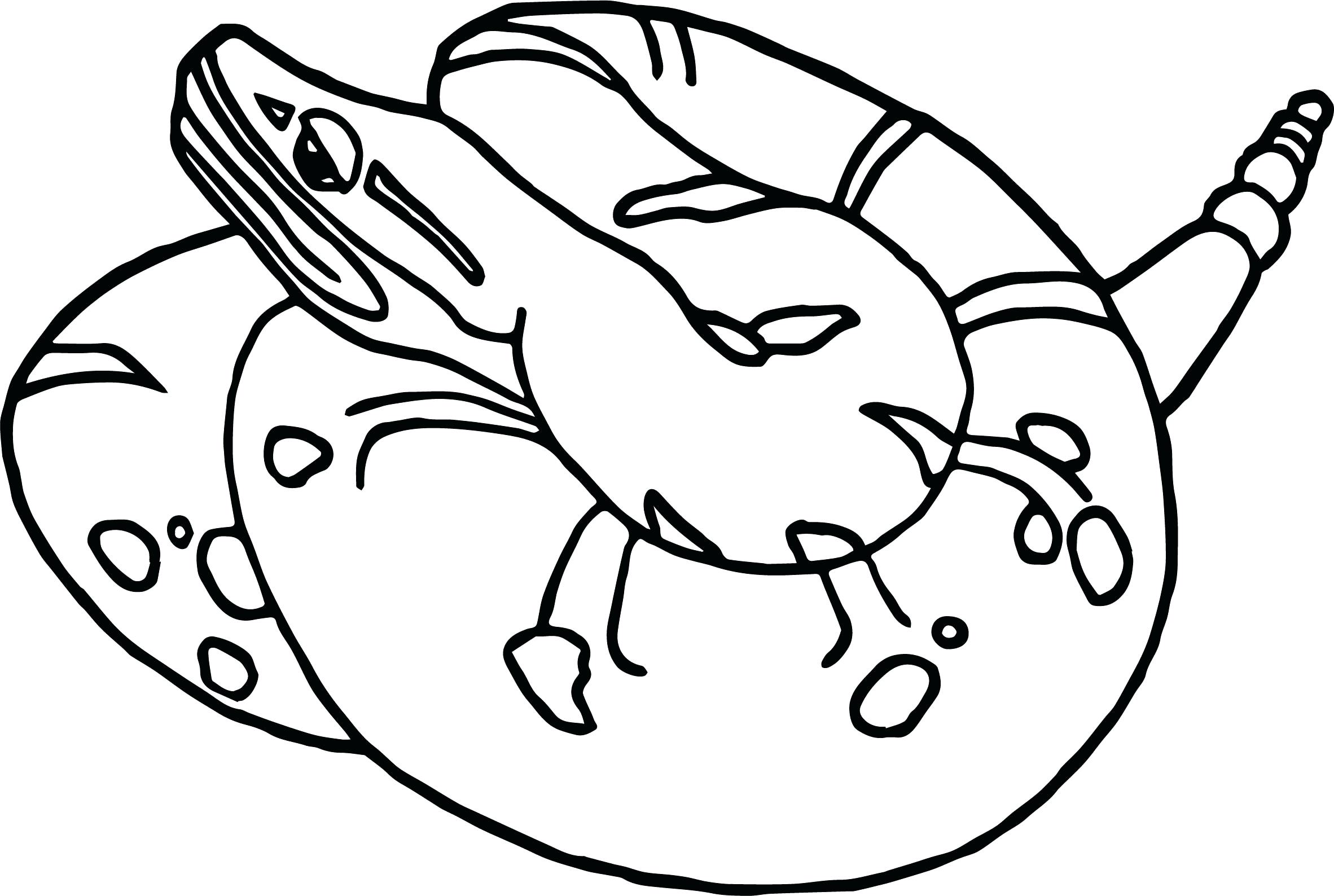 2364x1588 Coloring Rattlesnake Coloring Pages Printable Snake Add Photo