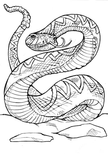 358x512 Coloring Pages Extraordinary Rattlesnake Coloring Pages Snake 9