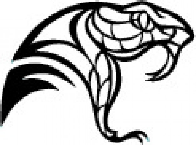 626x463 Rattlesnake Head Clipart Clipart Panda