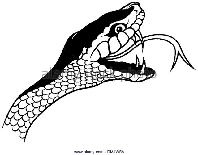 640x502 Snake Head Art Stock Photos Amp Snake Head Art Stock Images