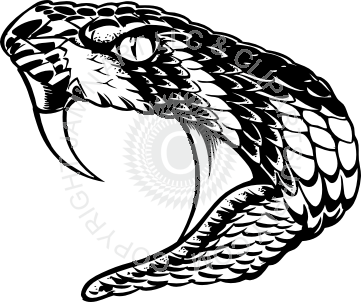 361x302 Snake Head Illustration