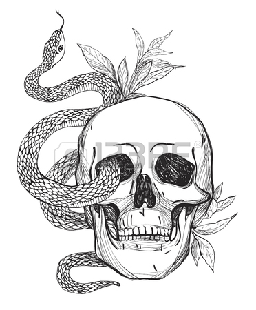 372x450 Snake Head Stock Photos. Royalty Free Business Images