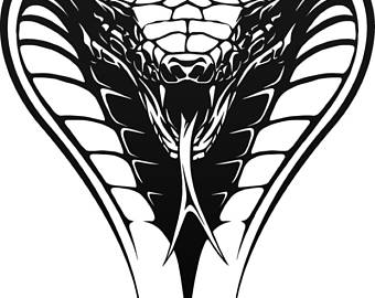 340x270 Snake Svg Etsy