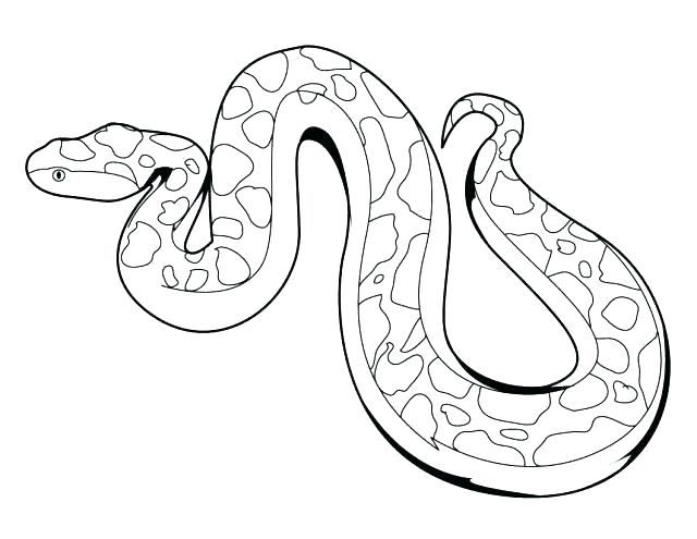 640x495 Coloring Pages Snakes Drawn Snake Colouring Page Coloring Pages