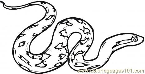 465x239 Rattle Snake Coloring Page
