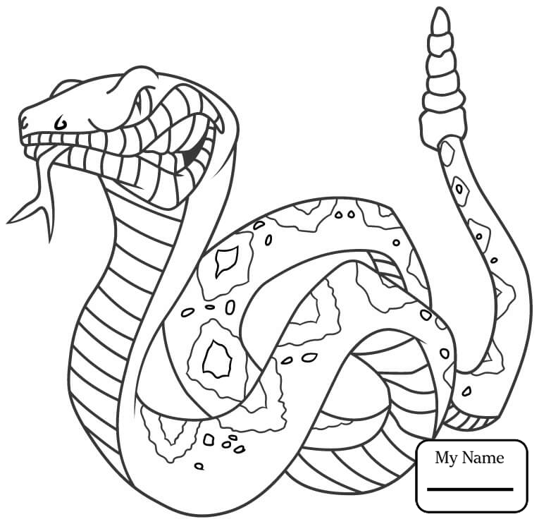 765x743 Angry Rattlesnake Cartoon Snakes Reptiles Cartoon Snakes Coloring