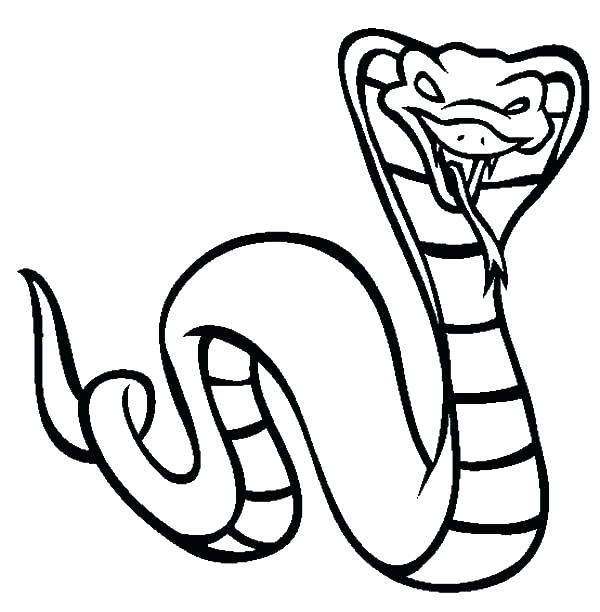 600x612 Snake Coloring Page Rattlesnake Coloring Pages Coloring Pages