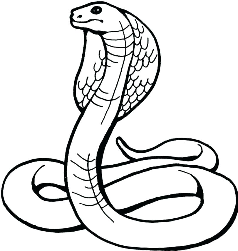 810x852 Snake Coloring Picture Rattlesnake Coloring Page Genesisar.co