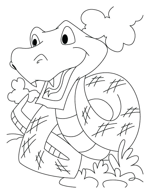 612x792 This Is Snake Coloring Pages Images Rattlesnake Coloring Pages