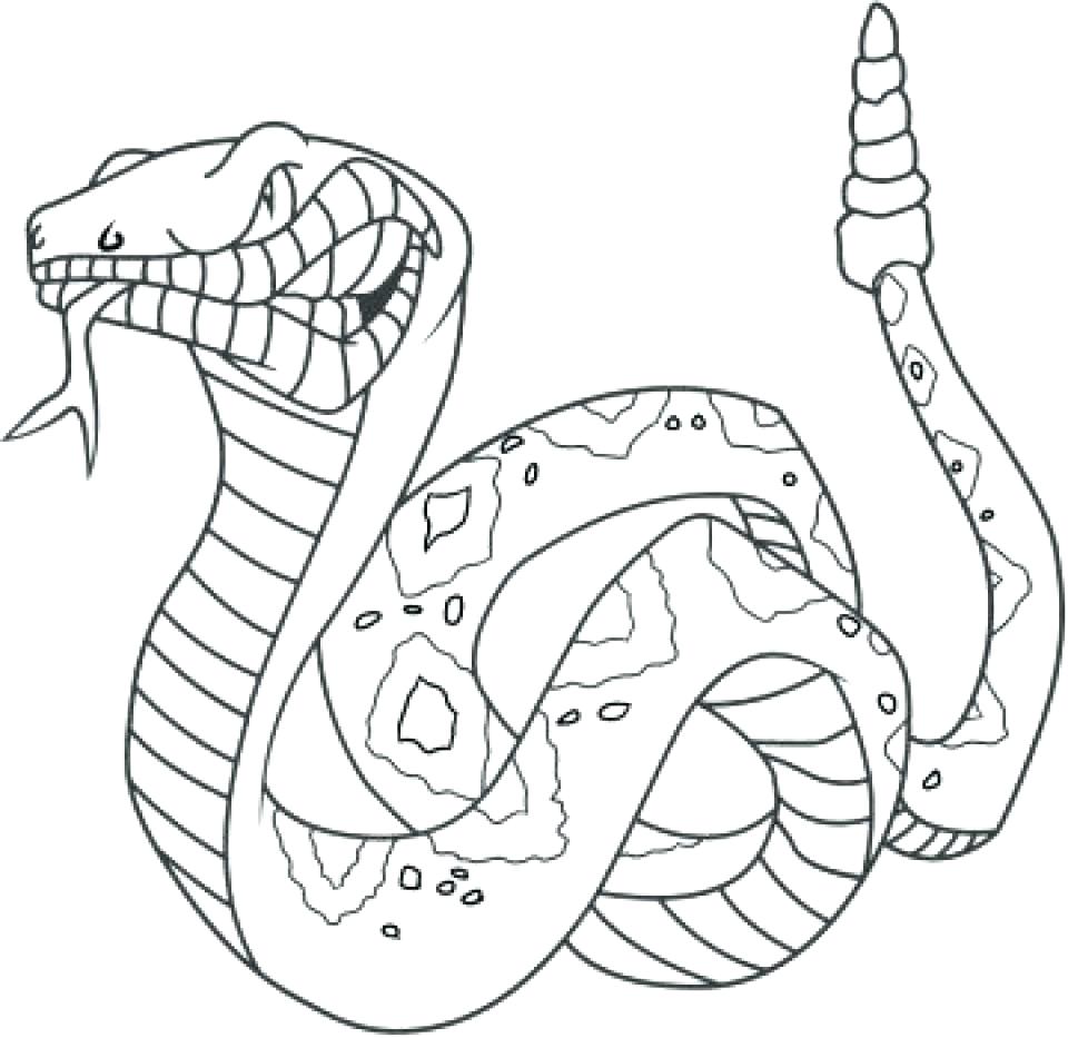 960x933 Coloring Rattlesnake Coloring Pages