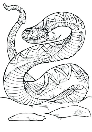 358x512 Beautiful Dodge Viper Coloring Pages Free Download Awesome Amusing