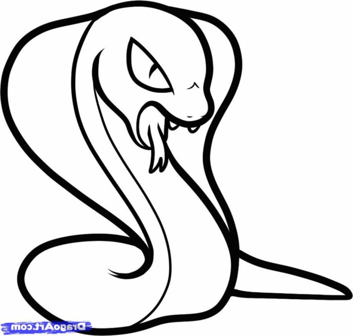 728x693 Coloring Pages Charming Rattlesnake Full Size Of Pagescharming