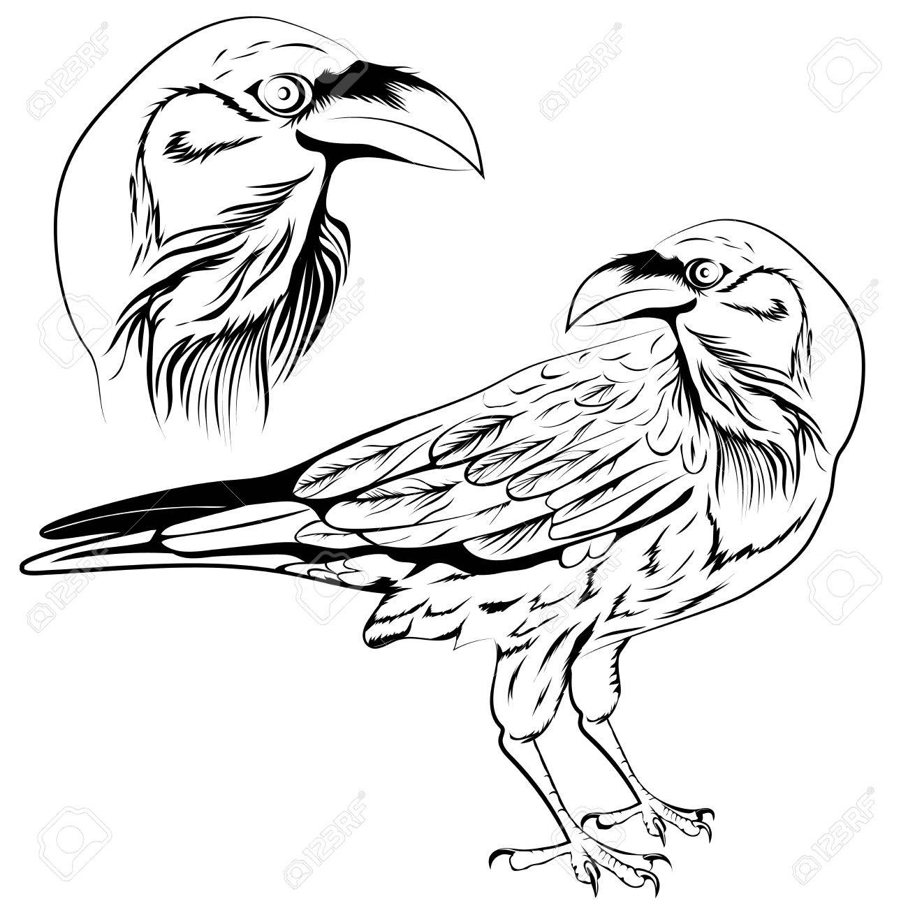 1300x1300 Black And White Raven, A Set Of Two Objects A Head And A Bird