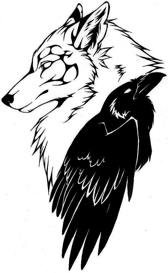 536x869 Caliga Raven Tattoo By Ravensilverclaw
