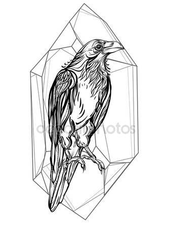 340x449 Raven. Detailed Drawing Of A Bird. Stock Vector Hikarud88