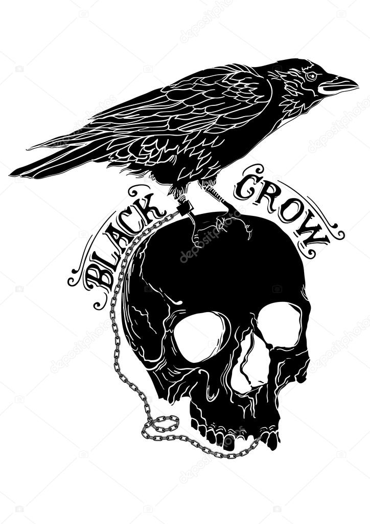724x1024 Crow Sitting On Skull Sketches Stock Vector Vecture