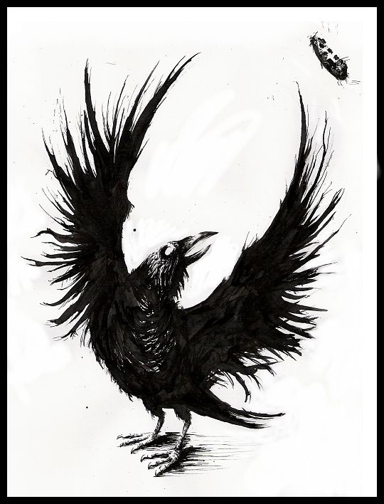 Raven Queen Drawing at GetDrawings | Free download