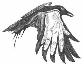 288x227 Raven Bodywork