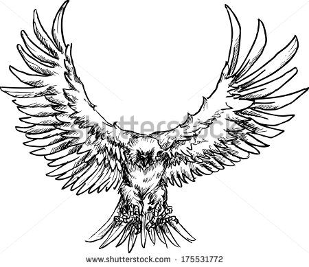 450x389 Animals For Gt Raven Landing Drawing Cards Ravens