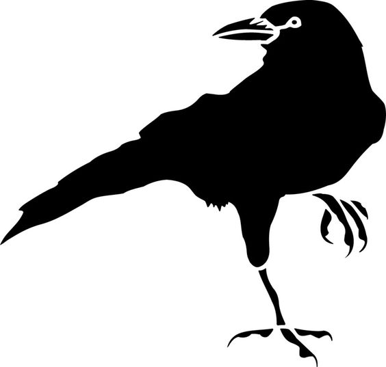 564x537 Crow Drawing Clipart