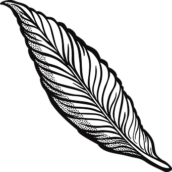 341x340 Feather