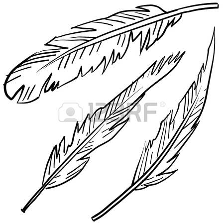 450x450 Image Result For Crow Feather Illustration Alistair