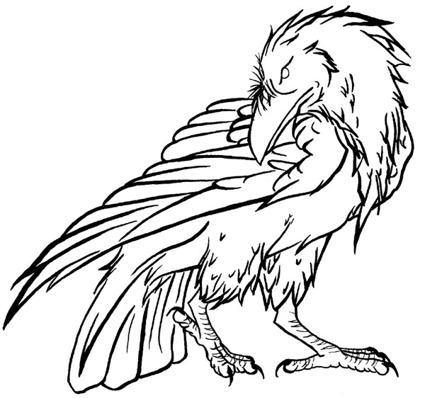 600x562 Raven Lineart 2 By Falconsong