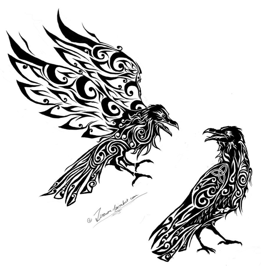 885x902 Hugin And Munin