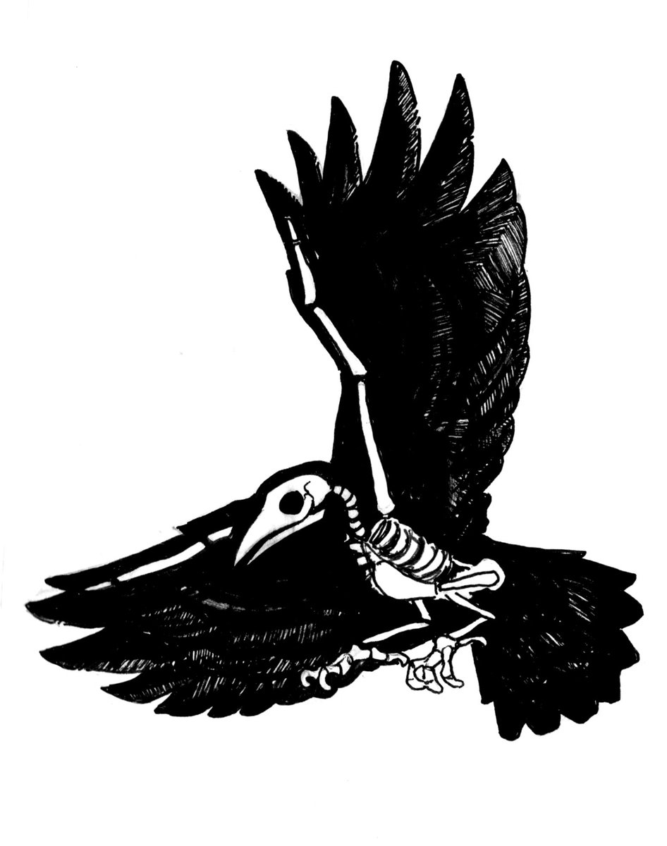 946x1200 Aurelia Sheehan (@dilgeyrailz) Twitter