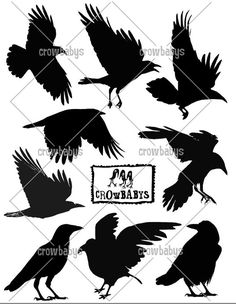 236x304 Crow Raven Wall Decal