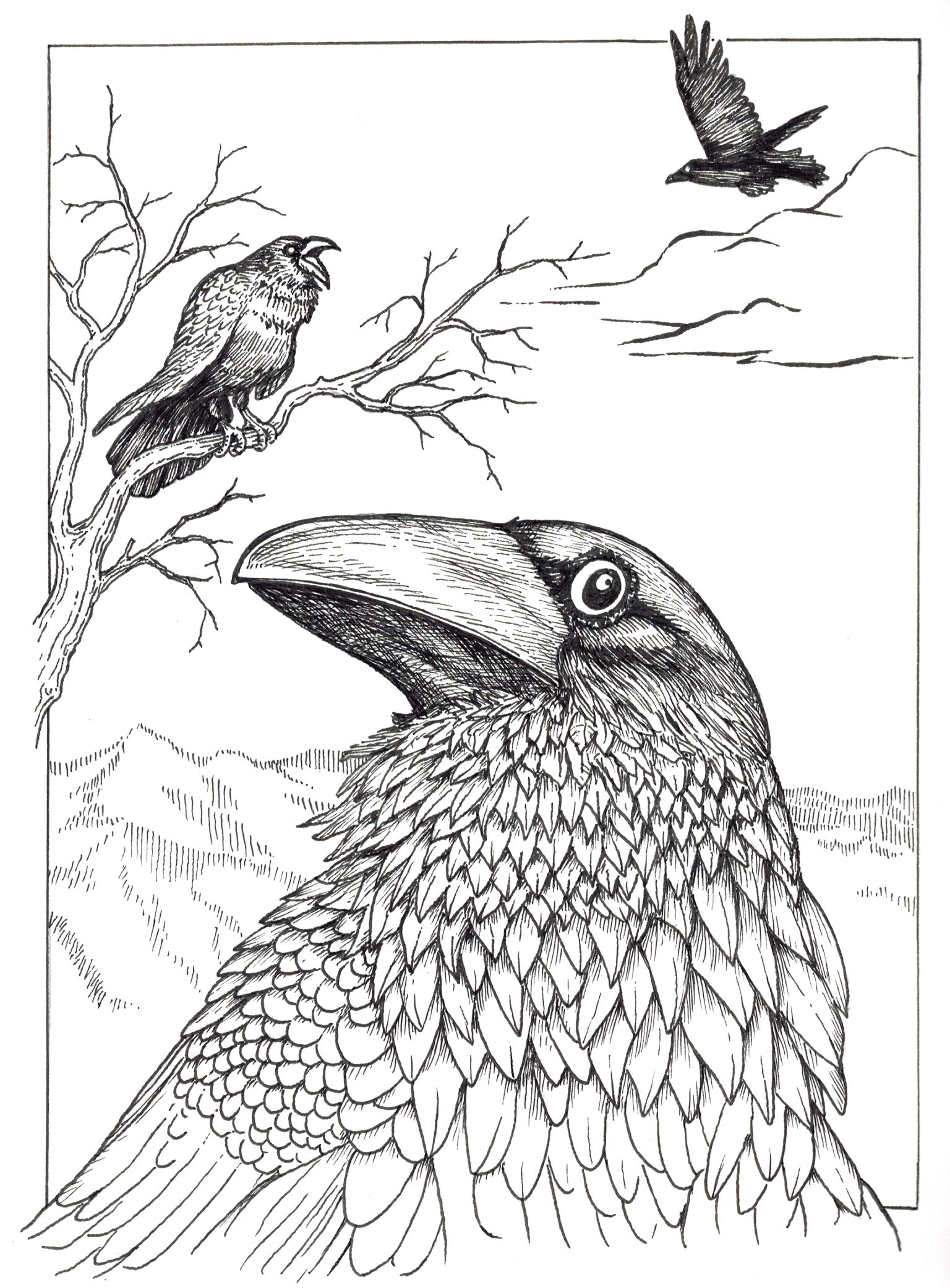 1536x2082 Ravens In Time