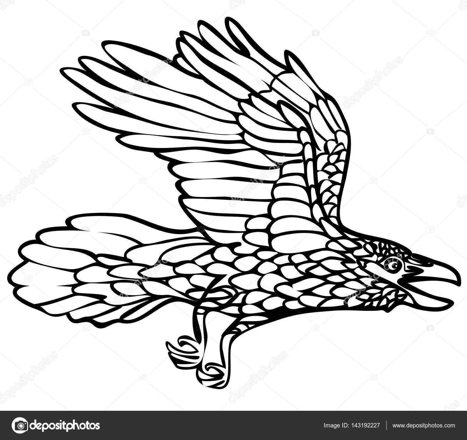1600x1505 Vector Illustration Of Flying Raven Black And White Stock Vector
