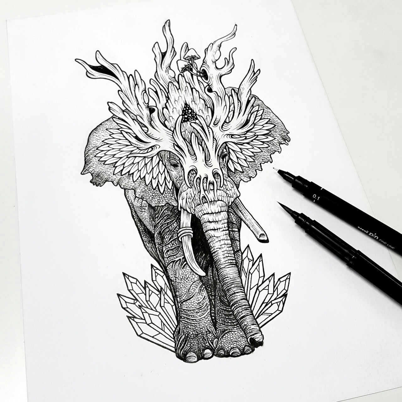 1280x1280 Elephant Draw Art Illustration Tattoo Mis Subidas