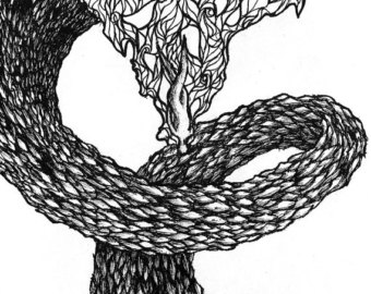 340x270 Ink Drawing Etsy