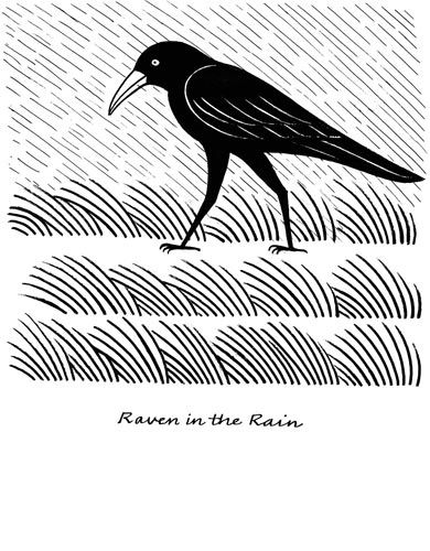 390x500 27 Best Linework Horkey Images On Ink Drawings, Rain